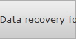 Data recovery for Covington data
